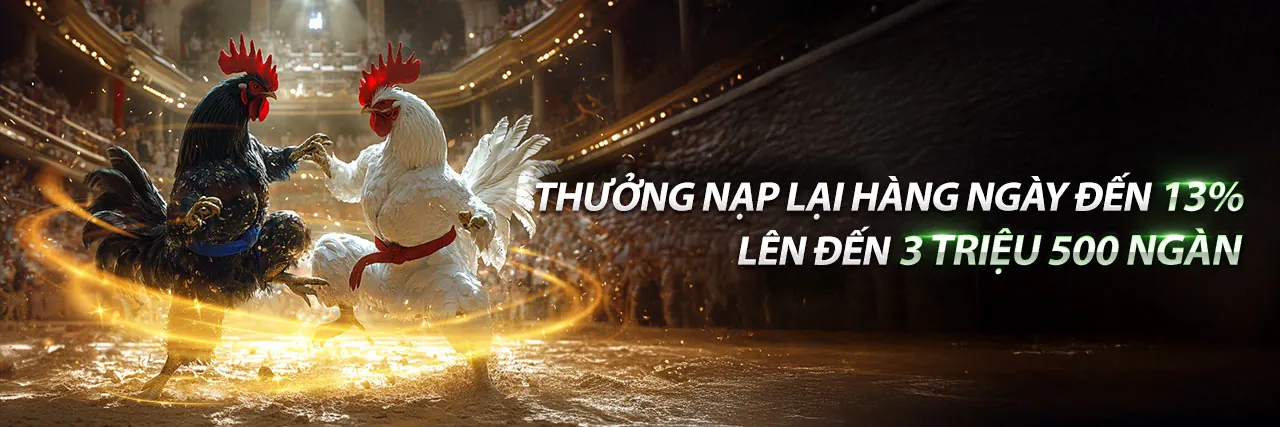Đá Gà Trực Tiếp Thomo SV388